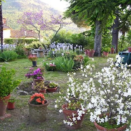 ベッド・アンド・ブレックファスト Villa Nobili B&B バーニョ・ア・リポリ
