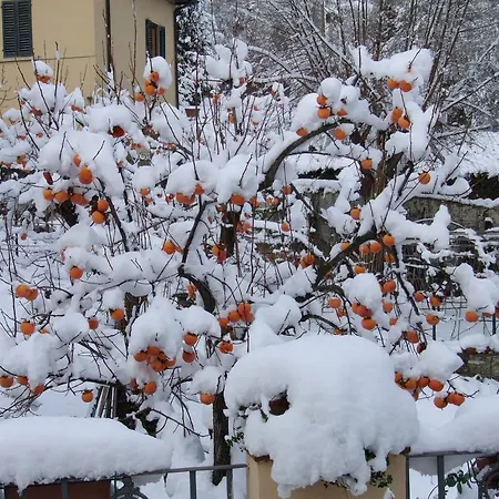 Villa Nobili B&B
