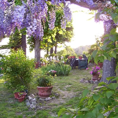 Villa Nobili B&B